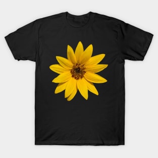 Filtered Sunflower Photographic Image T-Shirt